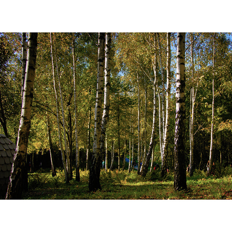 Forest Tree Wall Mural Modern Water Resistant Wall Decor in Soft Color