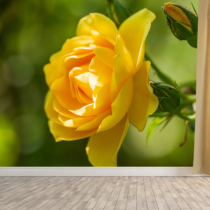 Beautiful Flower Mural Wallpaper Stain Resistant for Sleeping Room, Custom-Made