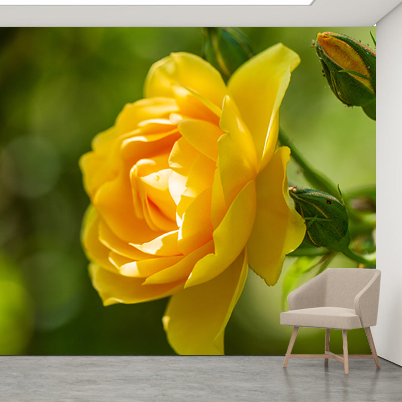 Beautiful Flower Mural Wallpaper Stain Resistant for Sleeping Room, Custom-Made