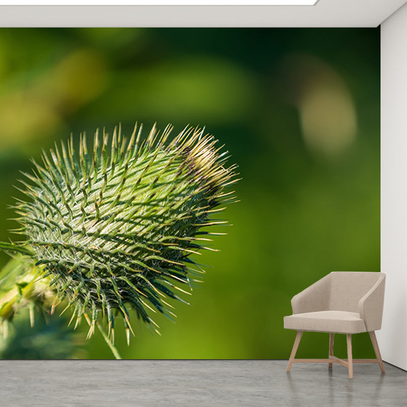 Various Plants Wall Decor Personalized Size Mural for Sititng Room, Waterproofing