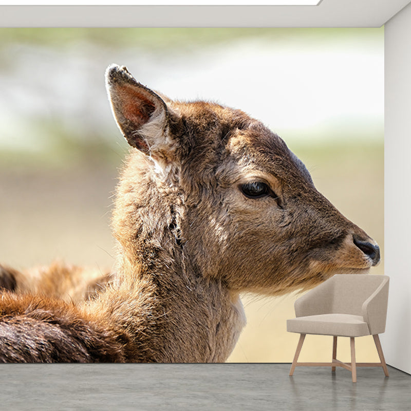 Deer Animal Mural Wallpaper for Living Room Decor Waterproofing, Custom Size