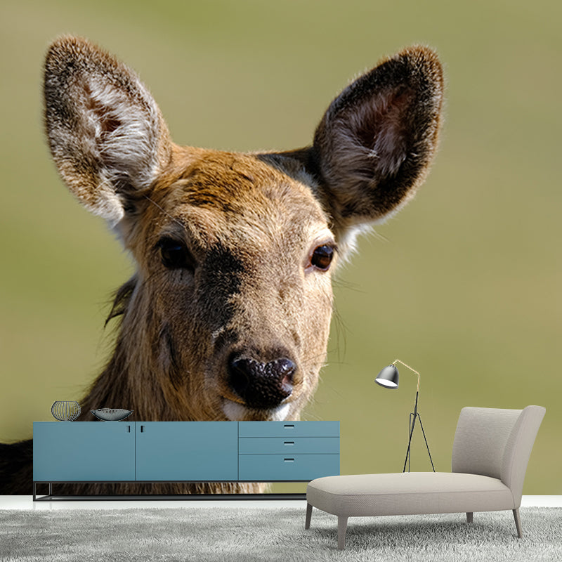 Deer Animal Mural Wallpaper for Living Room Decor Waterproofing, Custom Size