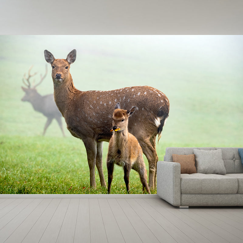 Deer Animal Mural Wallpaper for Living Room Decor Waterproofing, Custom Size