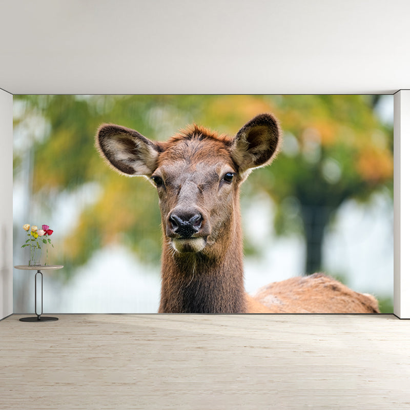 Cute Deer Animal Moisture Resistant Bedroom Wall Covering, Customized Size