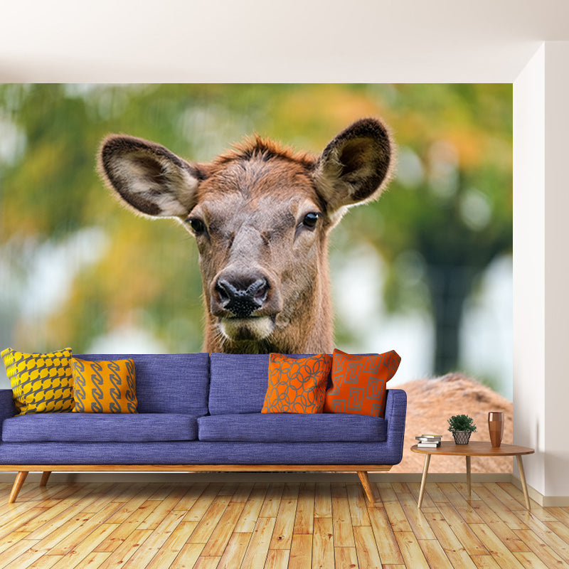 Cute Deer Animal Moisture Resistant Bedroom Wall Covering, Customized Size