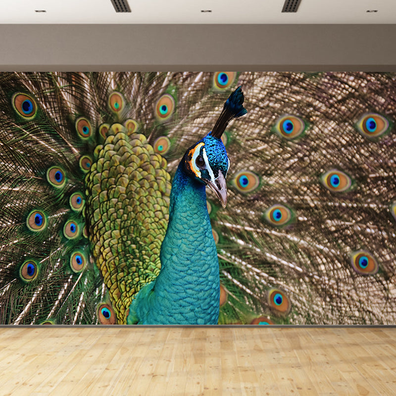 Large Peacock Mural Decal for Living Room Moisture Resistant, Made to Measure