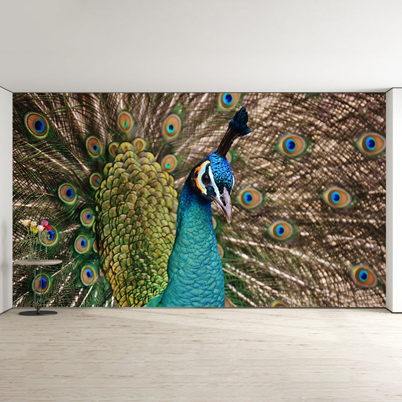 Large Peacock Mural Decal for Living Room Moisture Resistant, Made to Measure