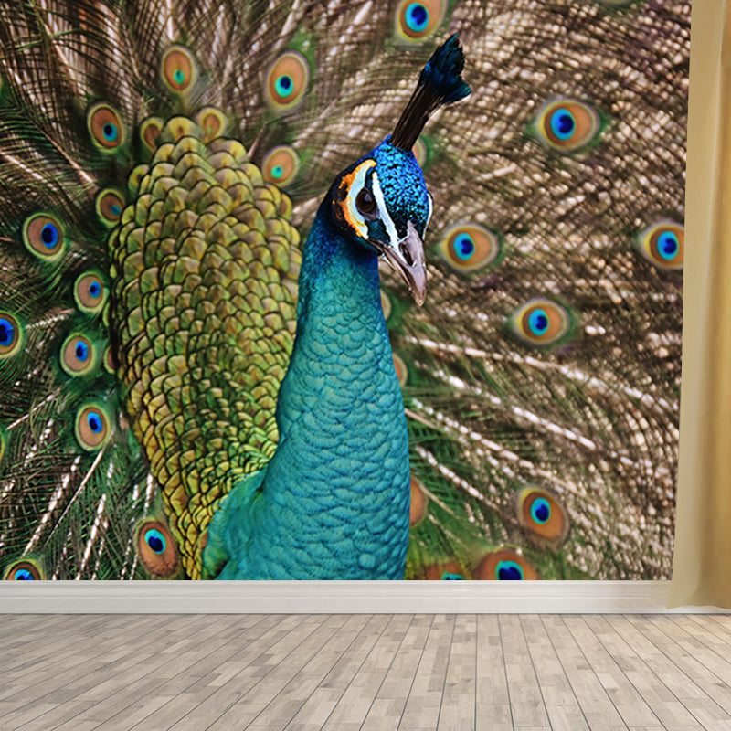 Large Peacock Mural Decal for Living Room Moisture Resistant, Made to Measure