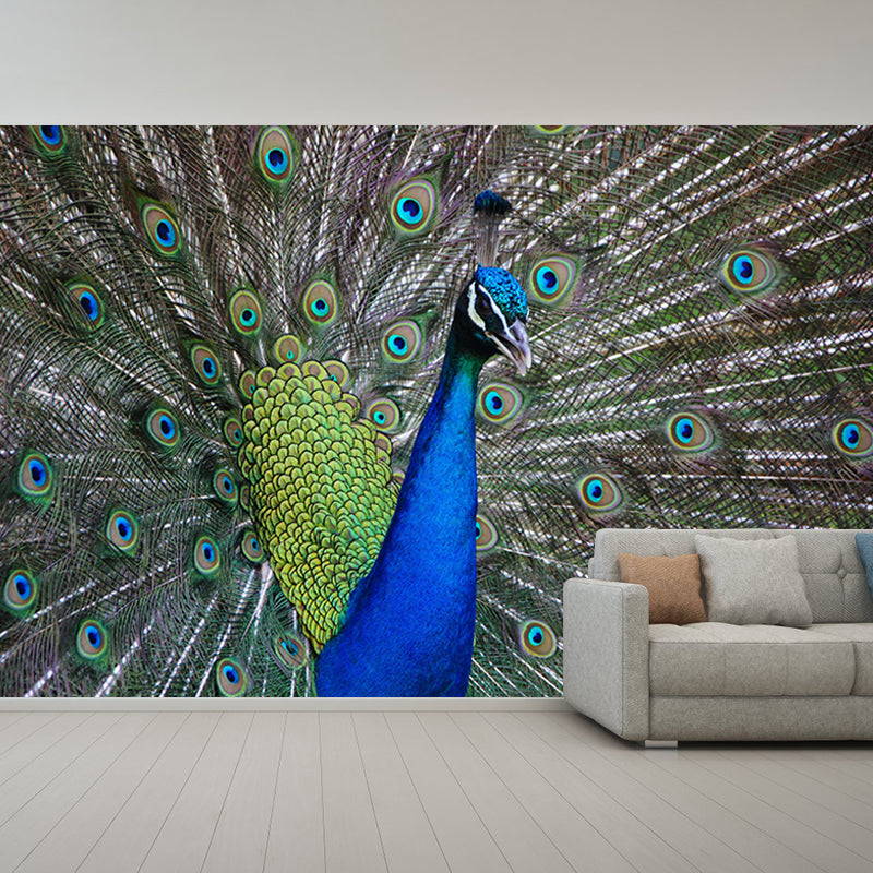 Large Peacock Mural Decal for Living Room Moisture Resistant, Made to Measure