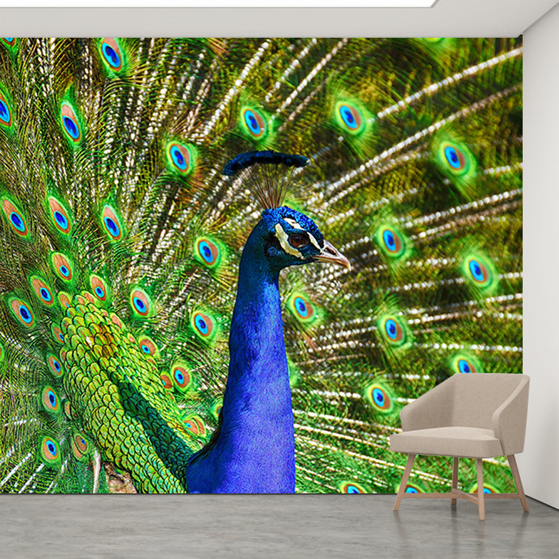 Large Peacock Mural Decal for Living Room Moisture Resistant, Made to Measure