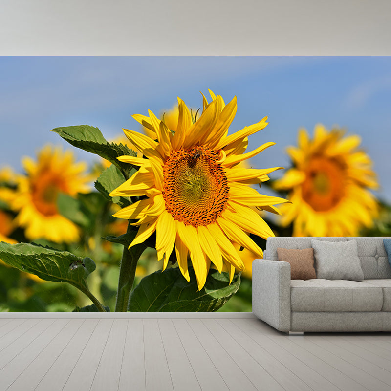 Beautiful Sunflower Wallpaper Mural Yellow Moisture Resistant Wall Art for Home