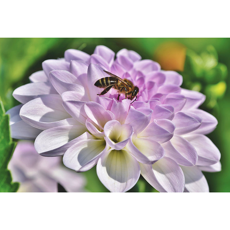 Minimalism Style Flower Mural Modern Smooth Wall Covering for Sleeping Room