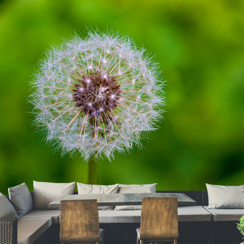 White Dandelion Wallpaper Murals Moisture Resistant Wall Decor, Personalised Size