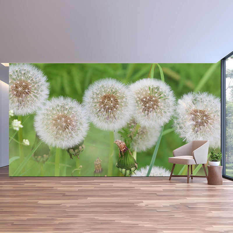 Minimalism White Dandelion Plant Murals Wallpaper Waterproof Bedroom Wall Decoration
