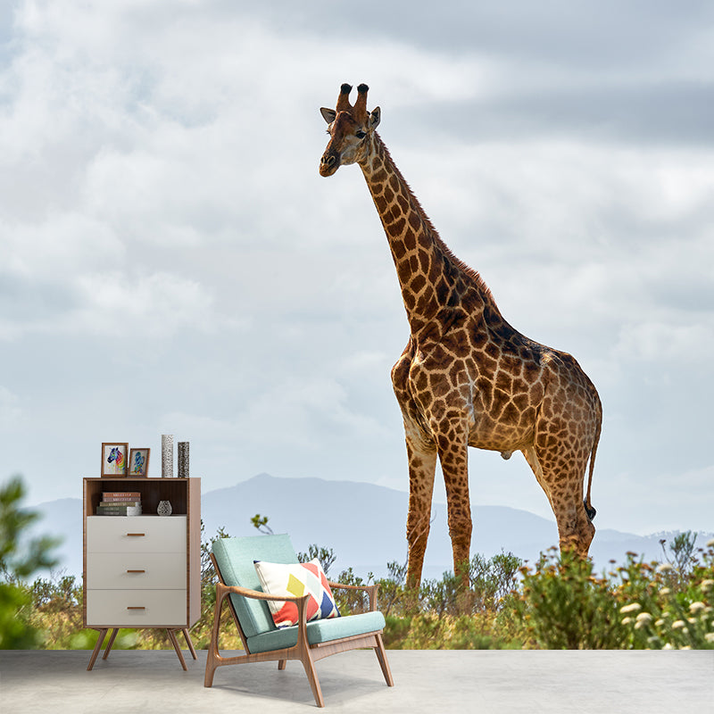 Giraffe Custom Photography Wall Murals Moisture Resistant, Made to Measure