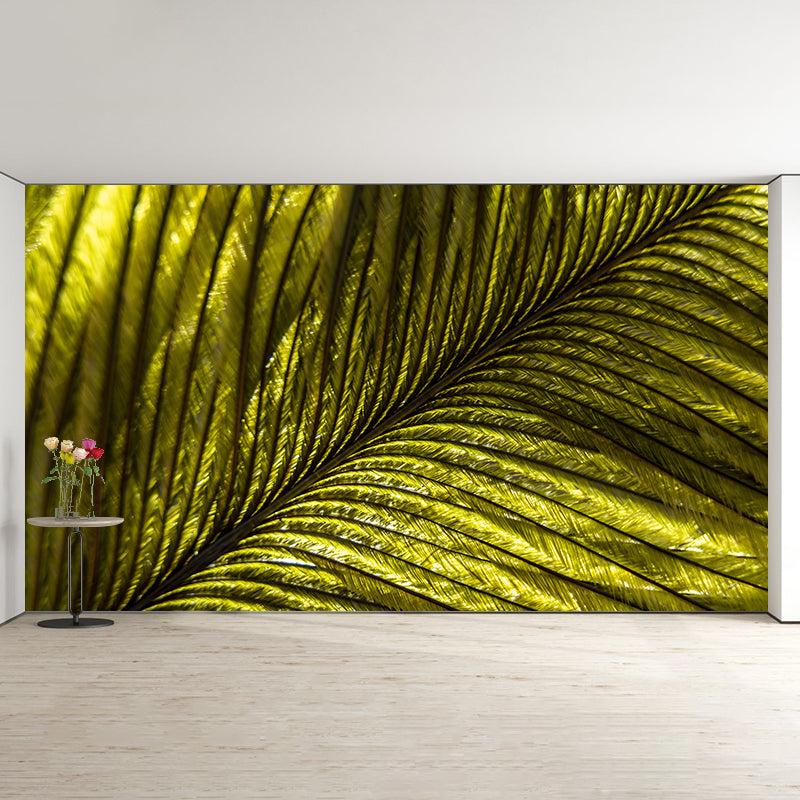 Peacock Feather Mural Wallpaper for Sleeping Room Water Resistant, Custom Made