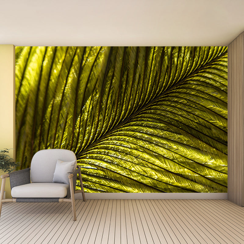 Peacock Feather Mural Wallpaper for Sleeping Room Water Resistant, Custom Made