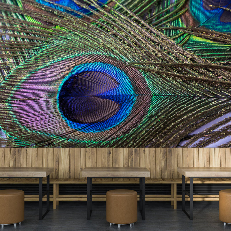 Tropical Style Peacock Feather Mural Decal for Living Room, Custom Size