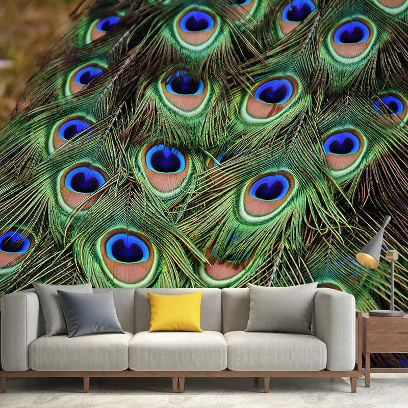 Tropical Style Peacock Feather Mural Decal for Living Room, Custom Size