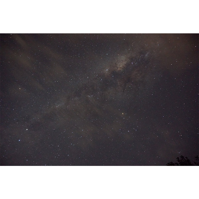 Minimalism Style Mural Wallpaper Dark Color Stain Resistant Wall Art for Home