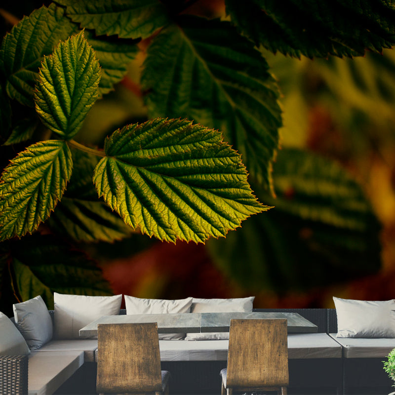 Creen Leaf Wall Mural Decal Stain Resistant Wall Art, Custom Size Available