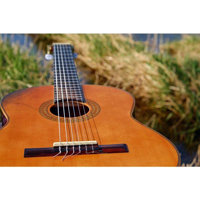 Guitar Water Resistant Mural Modern Washable Living Room Wall Art, Custom Print