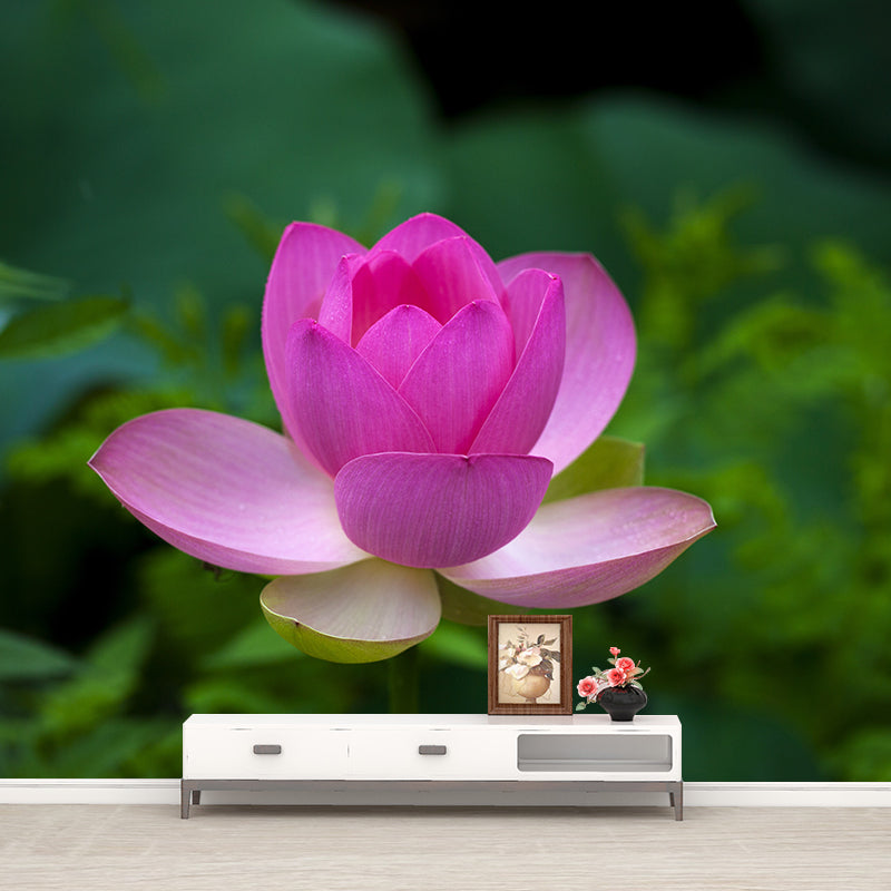 Water Plants Flower Print Wall Mural Decal Moisture Resistant, Custom Size