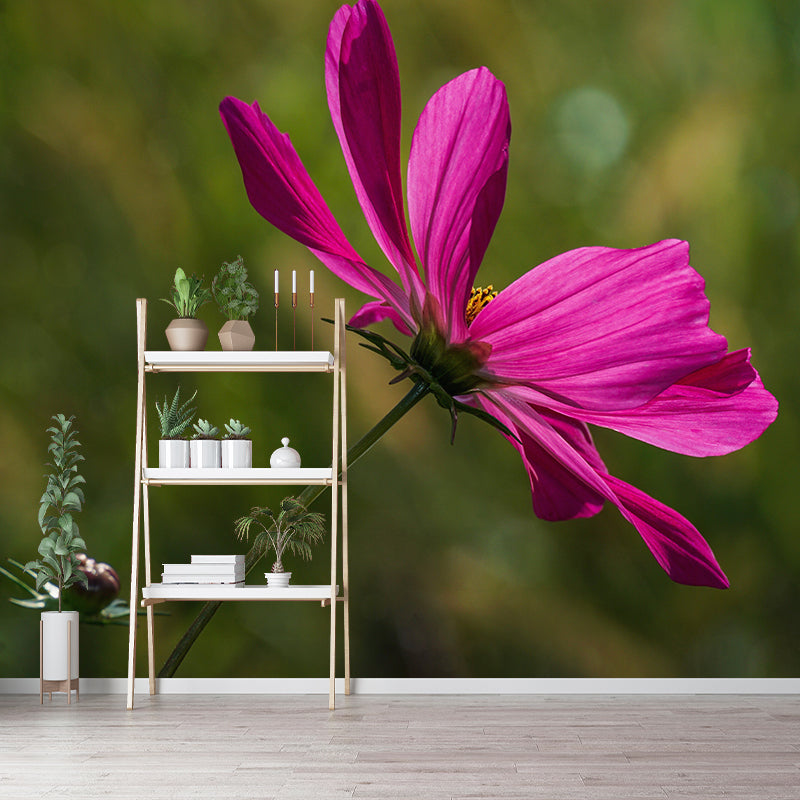 Mehrfarbige Blumen-Wanddekoration für Schlafzimmer, feuchtigkeitsbeständig, individuelle Größe erhältlich