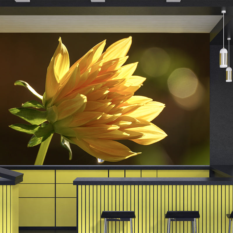 Dahlia Blooming Flower Mural pour l’intérieur de la maison, couleur douce, taille personnalisée disponible