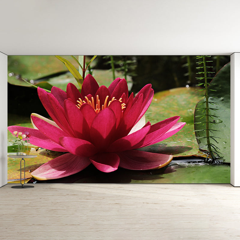 Beautiful Flower Wallpaper Mural Red and Pink Wall Decor for Bedroom, Waterproofing