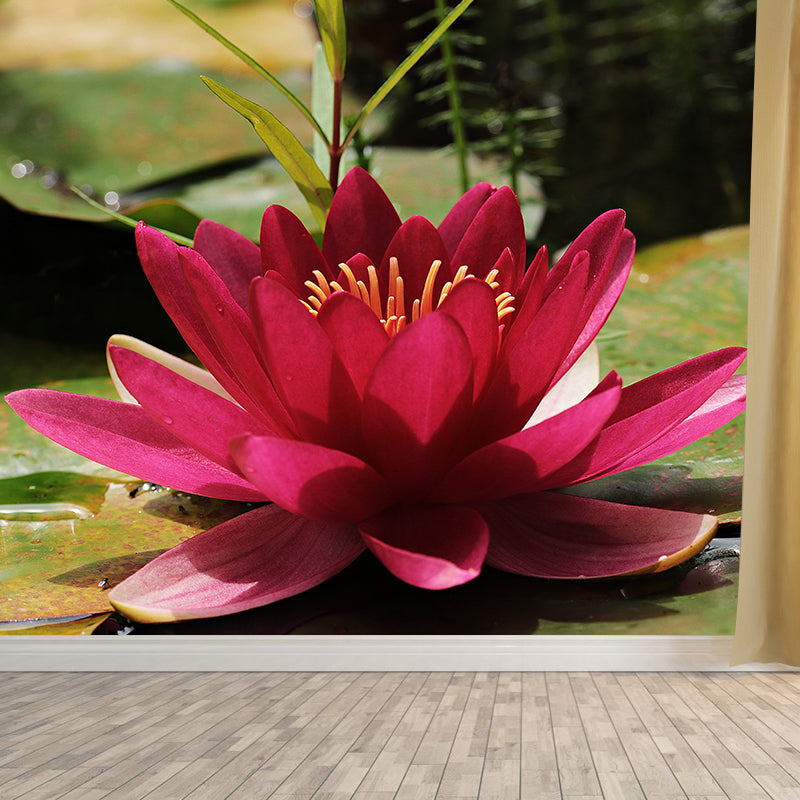 Beautiful Flower Wallpaper Mural Red and Pink Wall Decor for Bedroom, Waterproofing