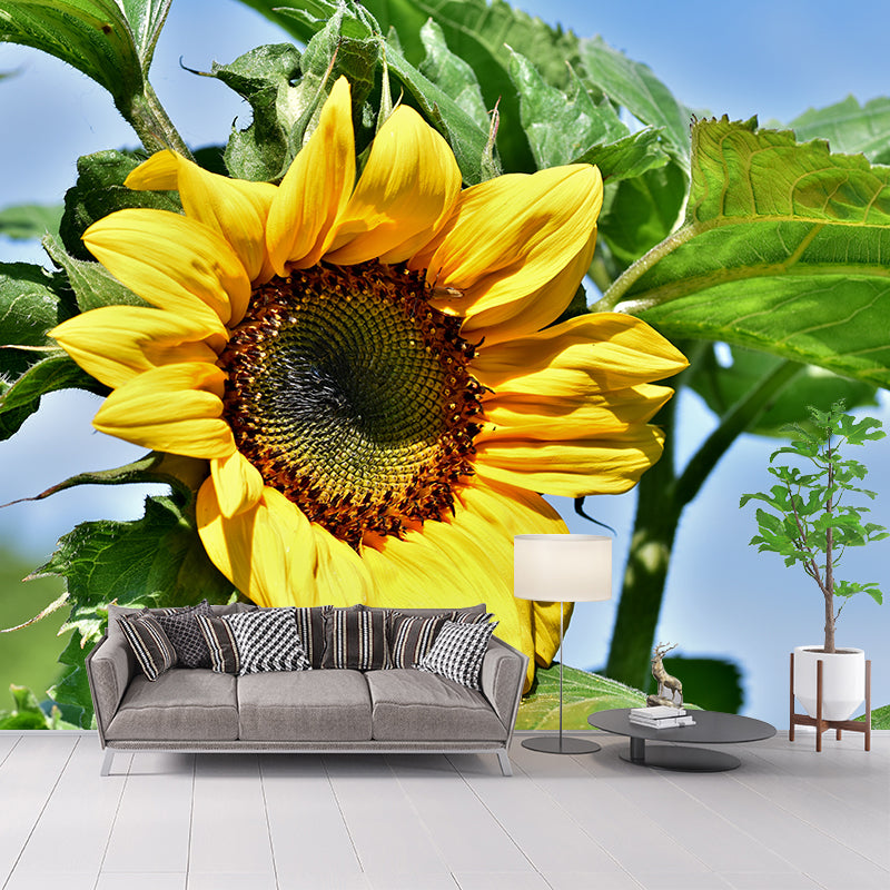 Alive Sunflower Mural Decal in Yellow Moisture Resistant, Custom Size Available
