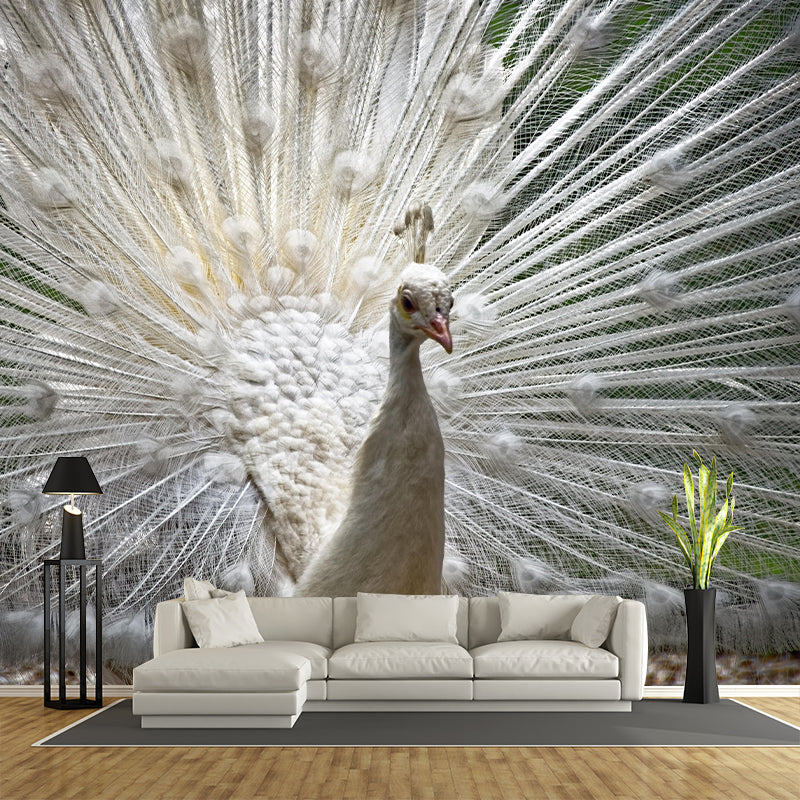 Haughty Peacock Mural Wallpaper Contemporary Style Wall Covering for Living Room