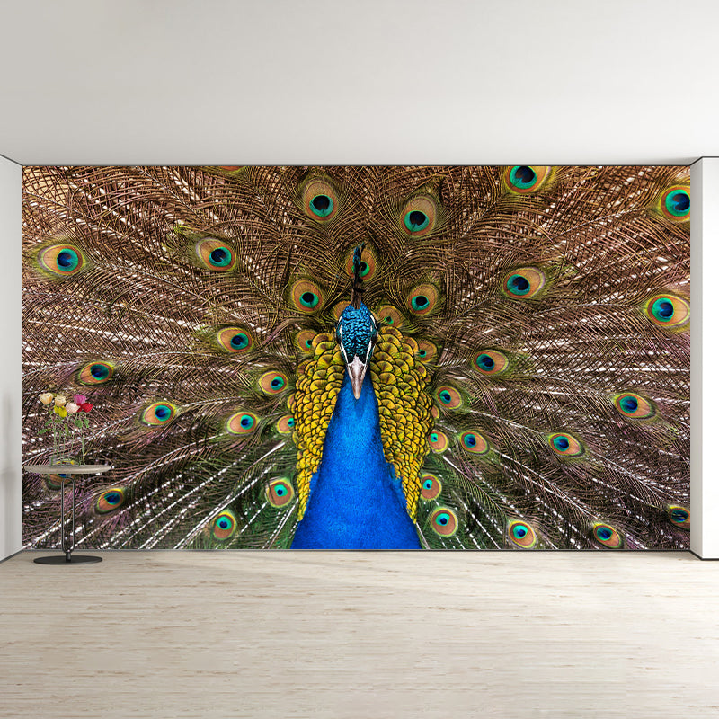 Haughty Peacock Mural Wallpaper Contemporary Style Wall Covering for Living Room