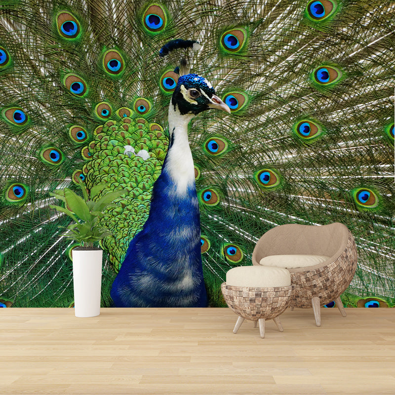 Haughty Peacock Mural Wallpaper Contemporary Style Wall Covering for Living Room