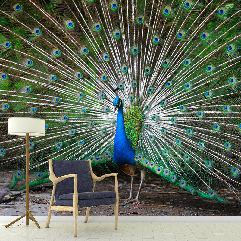 Haughty Peacock Mural Wallpaper Contemporary Style Wall Covering for Living Room