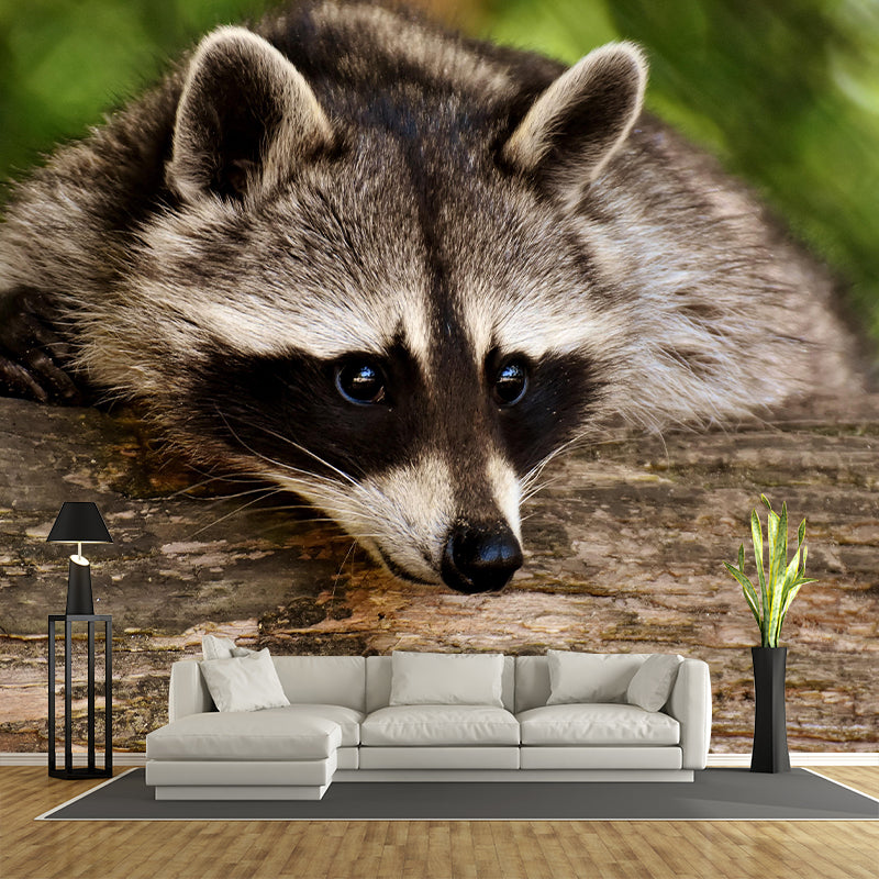Raccoon Mural Wallpaper Contemporary Style Wall Covering for Living Room