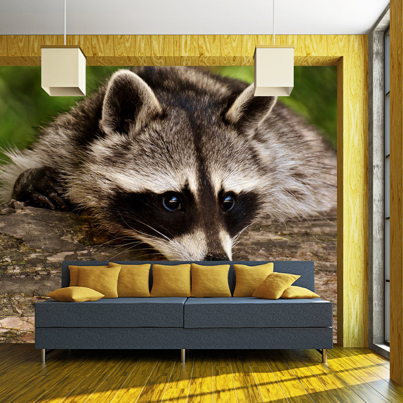 Raccoon Mural Wallpaper Contemporary Style Wall Covering for Living Room