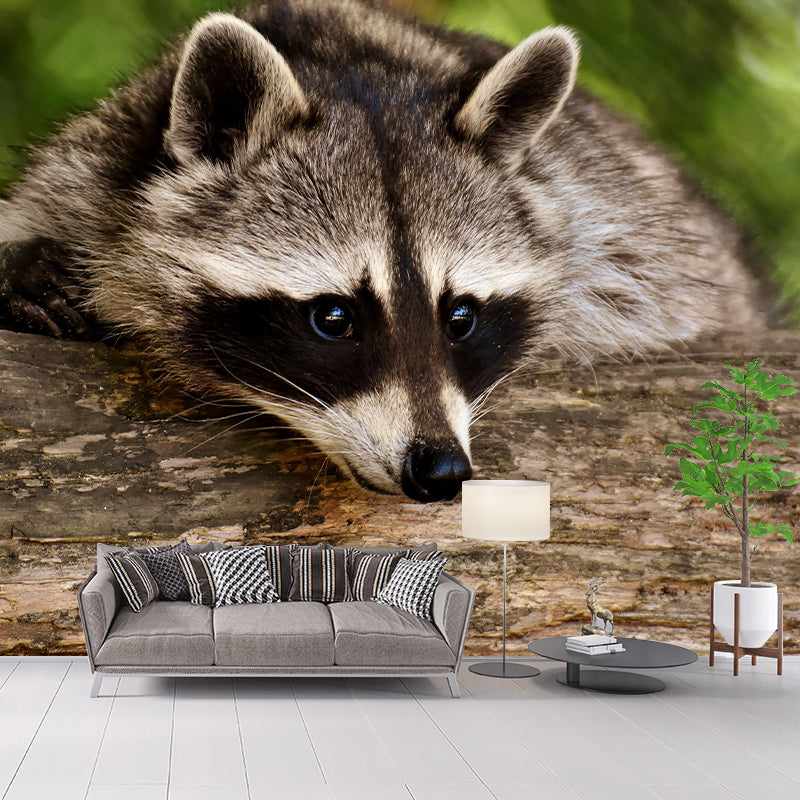Raccoon Mural Wallpaper Contemporary Style Wall Covering for Living Room