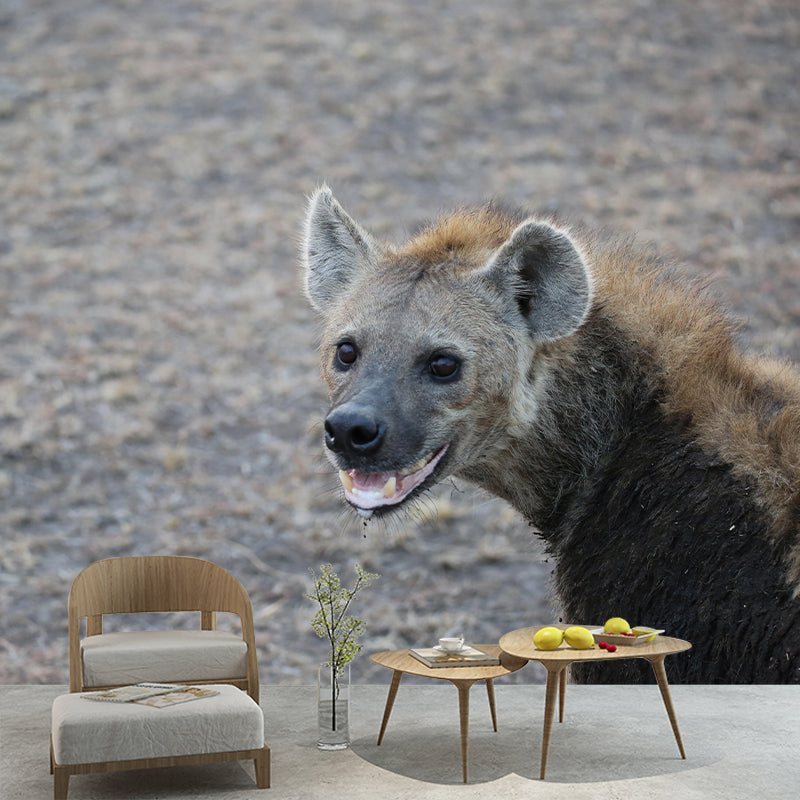 Contemporary Style Hyena Mural Eco-friendly Wallpaper Wall Covering for Sitting Room