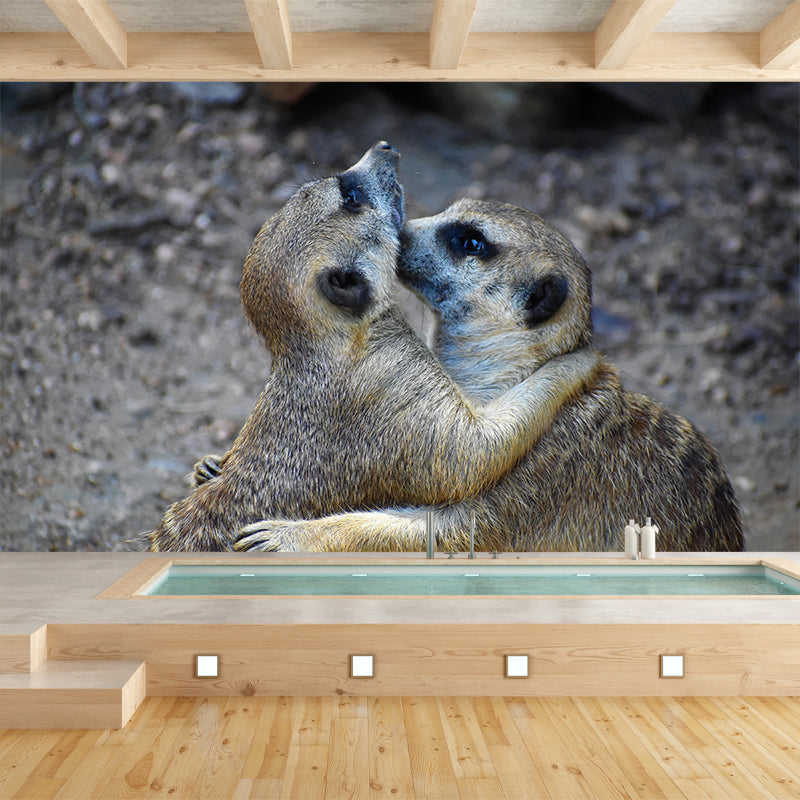 Contemporary Style Meerkat Mural Eco-friendly Wallpaper Wall Covering for Sitting Room