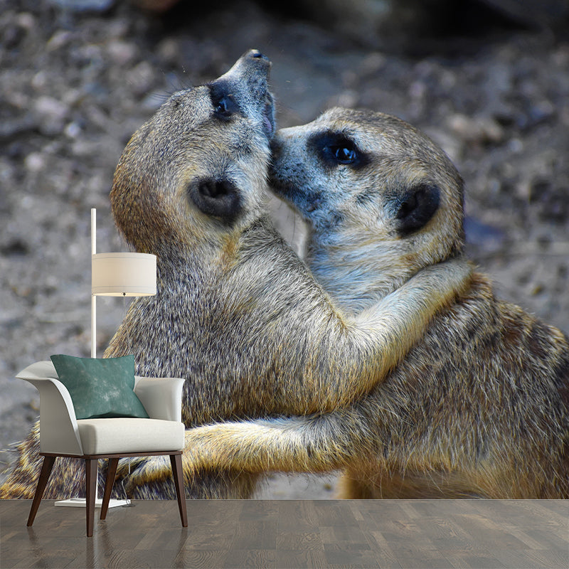 Contemporary Style Meerkat Mural Eco-friendly Wallpaper Wall Covering for Sitting Room