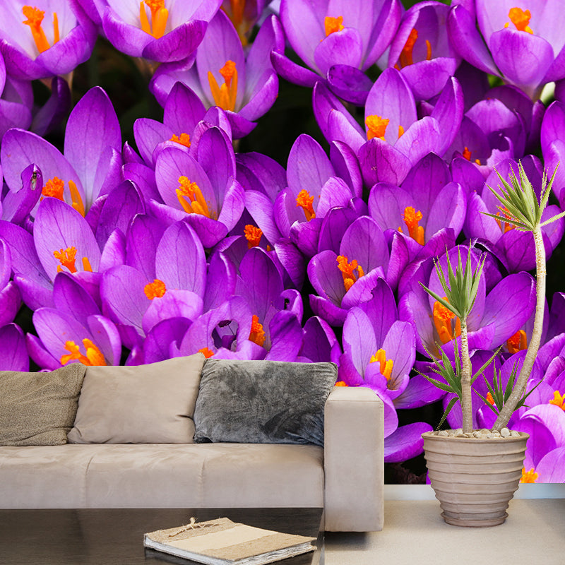 Crocus Flower Blossing Mural Wallpaper Modern Wall Covering for Living Room