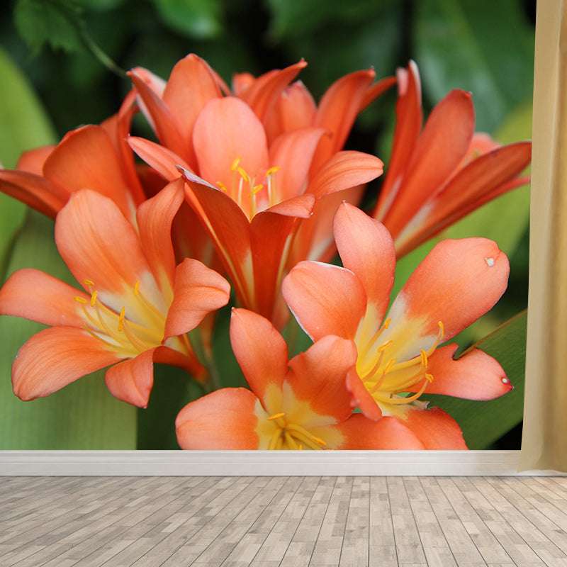 Clivia Flower Blossing Mural Wallpaper Modern Wall Covering for Living Room