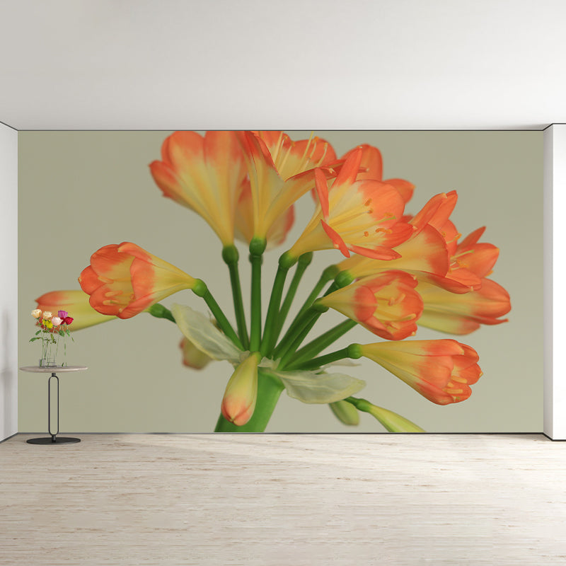 Clivia Flower Blossing Mural Wallpaper Modern Wall Covering for Living Room