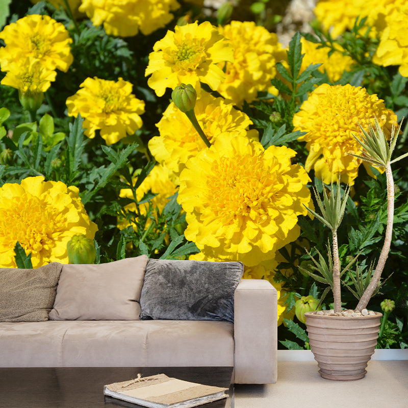 Photography Carnation Blossing Mural Wallpaper Modern Wall Covering for Living Room