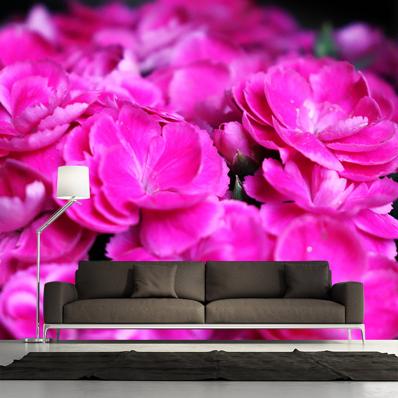Photography Carnation Blossing Mural Wallpaper Modern Wall Covering for Living Room