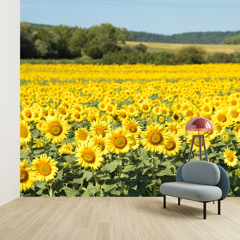 Photography Style Sunflower Blossing Mural Wallpaper Modern Wall Covering for Living Room