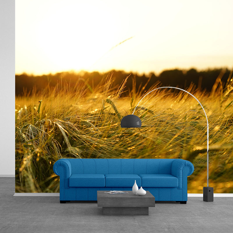 Modern Barley View Mural Wallpaper Light Color Wall Covering for Dining Room