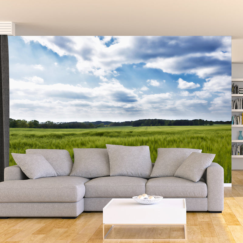 Modern Barley View Mural Wallpaper Light Color Wall Covering for Dining Room